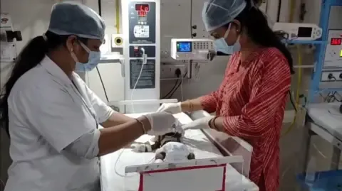 Infant Buried Living in the Country Fights for Existence